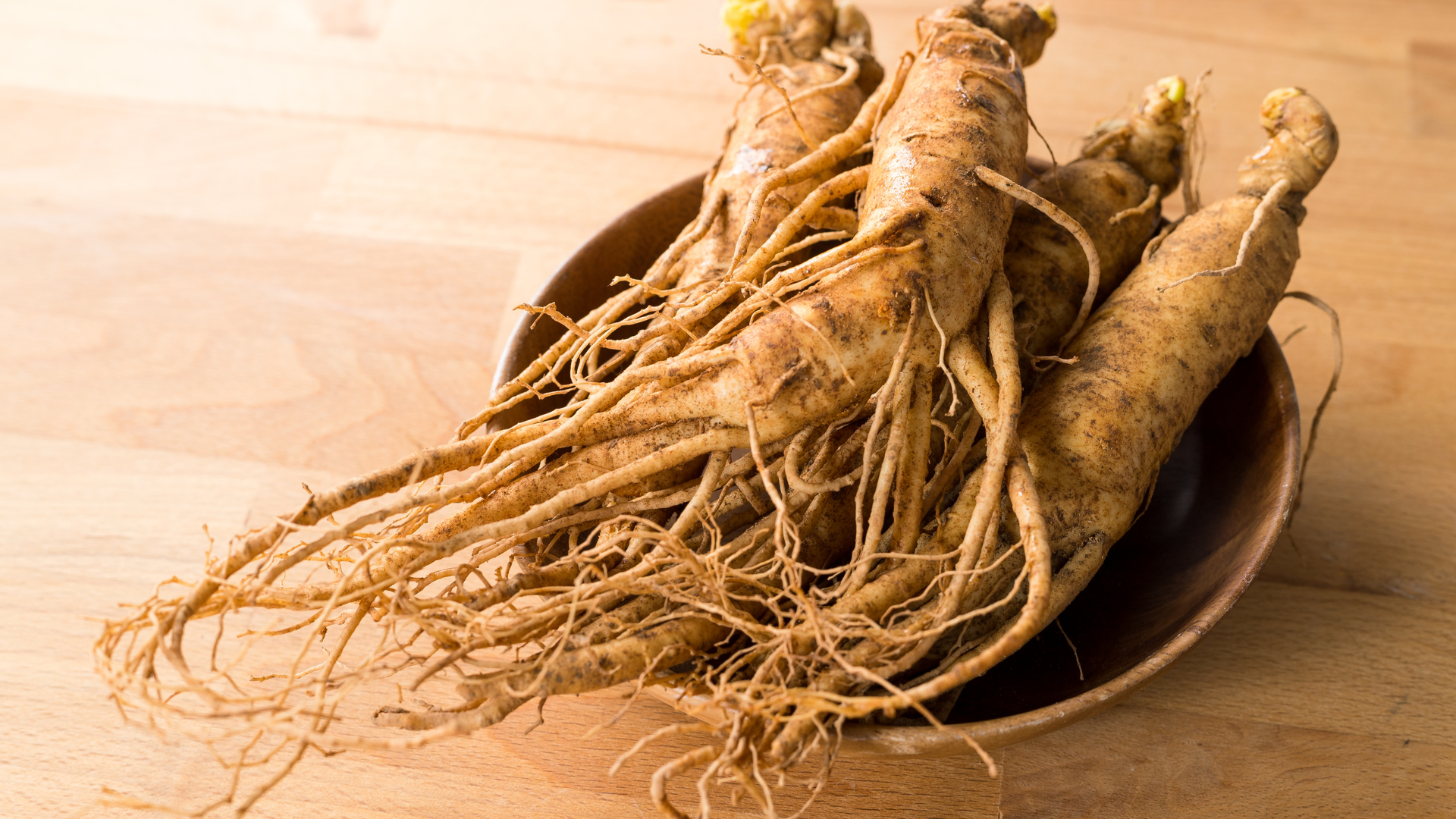 Côté plante : Le Ginseng